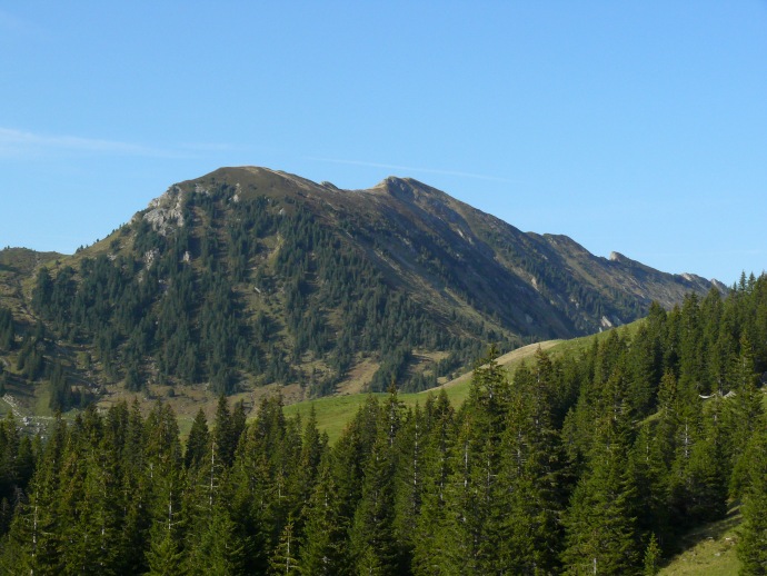 Richtung Schafmatt (hinter dem sichtbaren Gipfel)