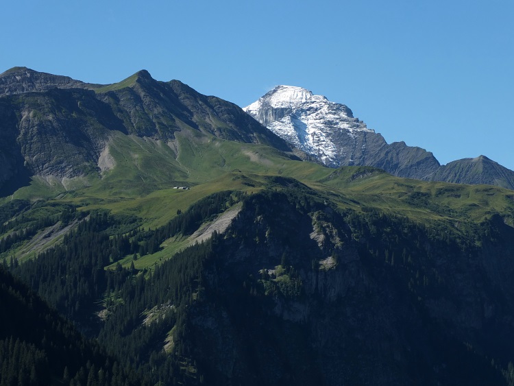 Piz Sardona und Alpe Oberscheubs