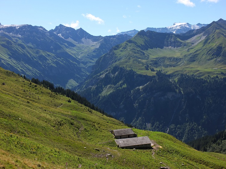 Obergalans, Alpe Valtnov bei Horn und Gufelbachtal