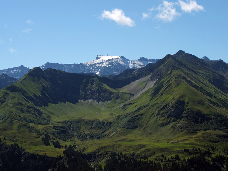 Alpe Valtnov, dahinter der Ringelspitz