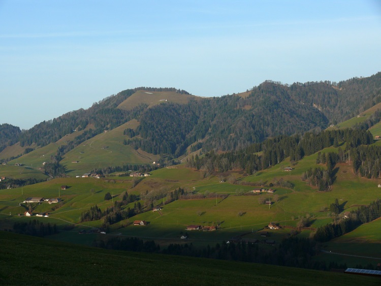 Hügelkette überm Rickentobel