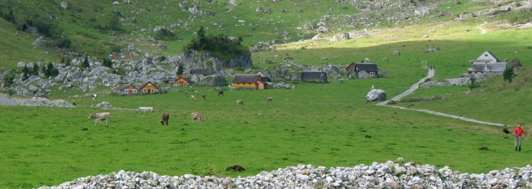 Arbeit auf der Seealp