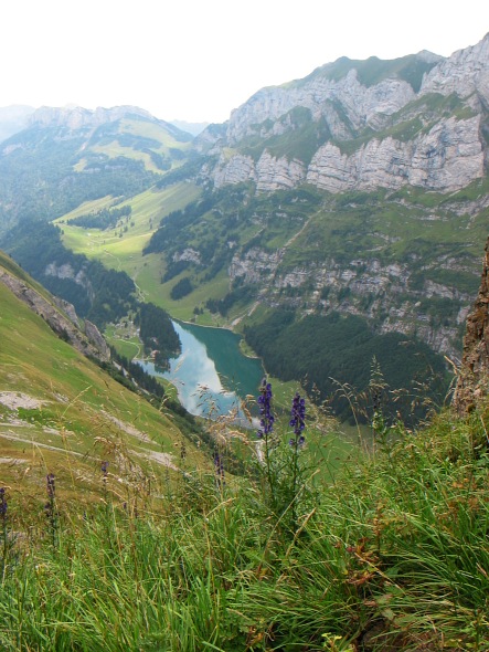 Blick zum Seealpsee