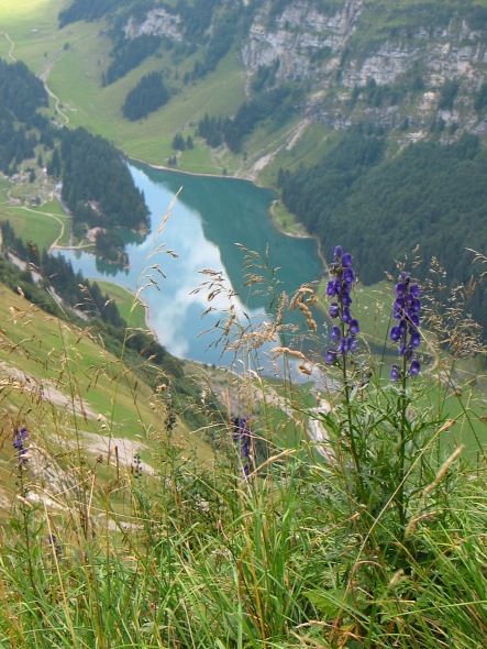 Blick zum Seealpsee