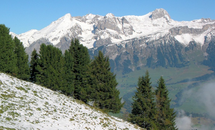 Blick zum Alpstein mit Wildhauser Schafberg und Altmann