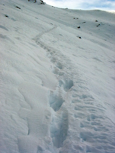 Eigertrail im Winter