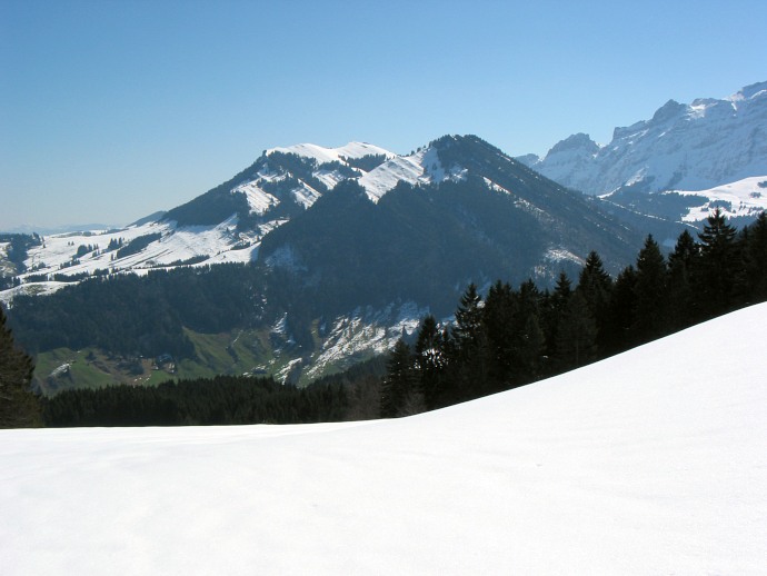 Spitzli und Teil des Kronbergs