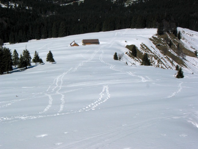 Alpe Rossmoos