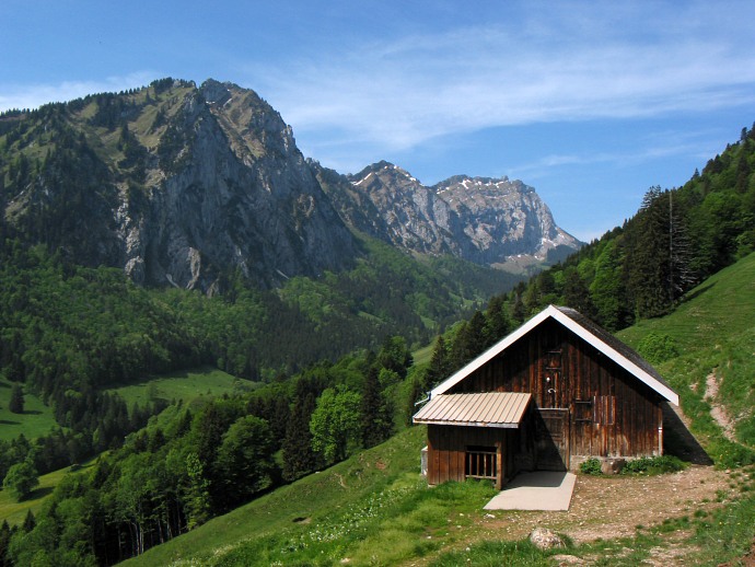 Alp beim Anstieg zum Hirzli