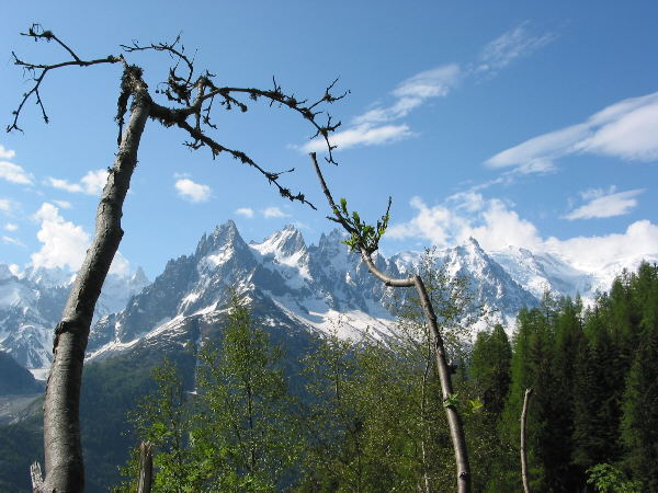 Blick vom Mer du Glace bis zum Mont Blanc