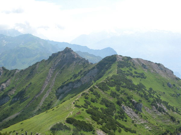 Abstiegsweg vom Schönberg (zum Leseweg)