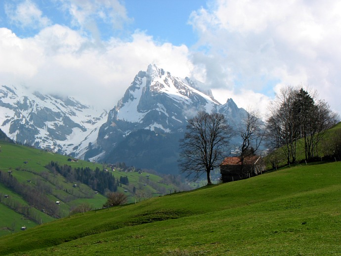 Wildhuser Schafberg