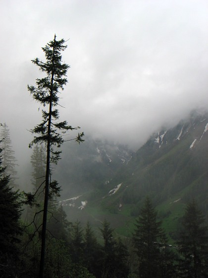 nebelverhangener Col de Balme