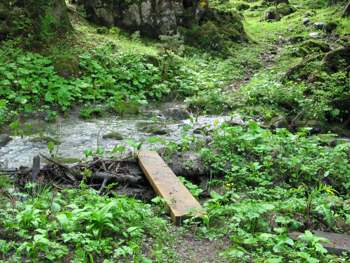 Brücklein am Bach beim Schiltmoos