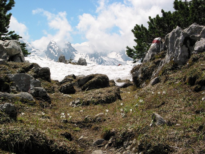 Anstiegsweg zum Windenpass