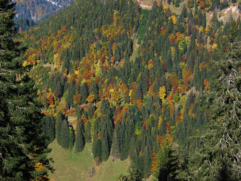 Herbst