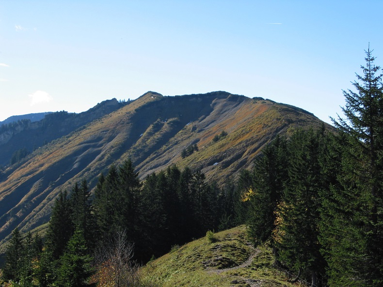 Salzbodenkopf