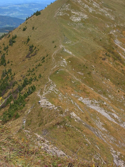 Gratweg von der Mörzelspitze zum Leuenkopf
