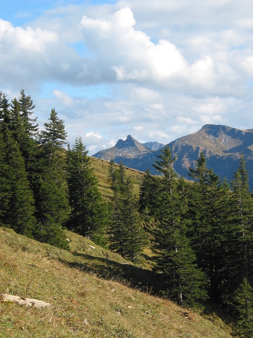 Damülser Mittagsspitze