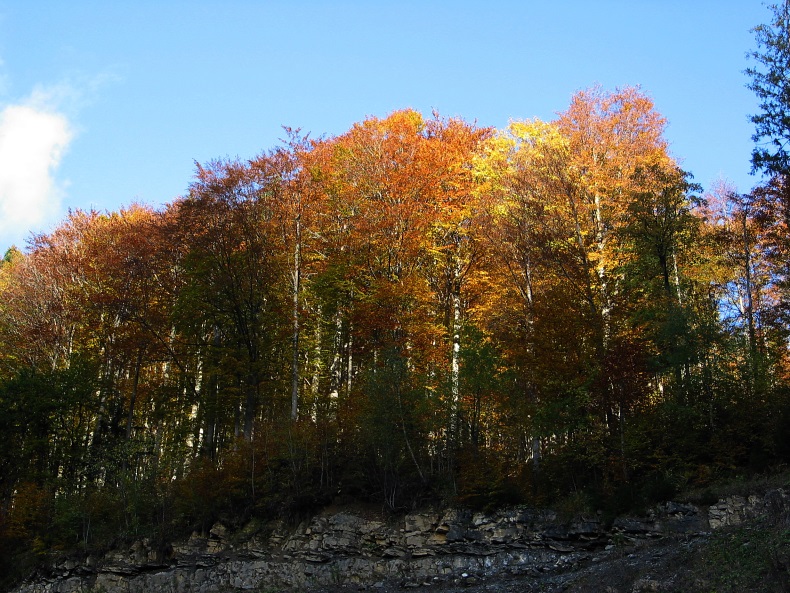 Herbststimmung