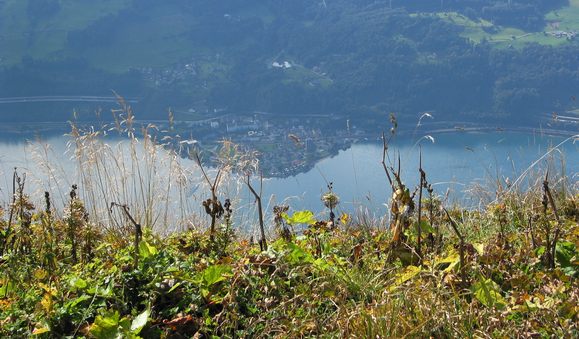 Walensee bei Murg