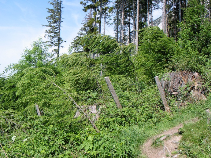 Zeichen winterlicher Lawinen