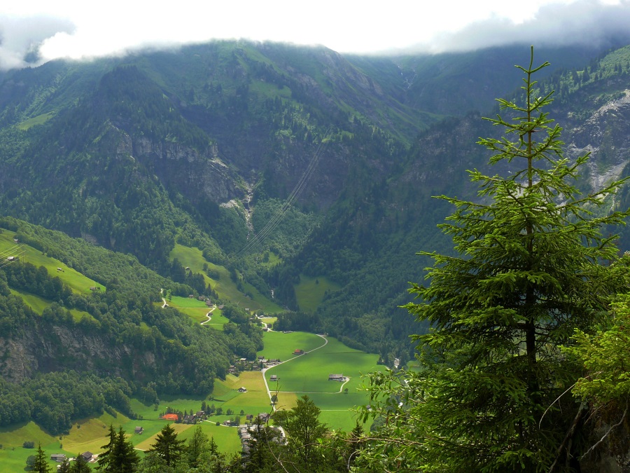 Blick ins Tal bei Elm