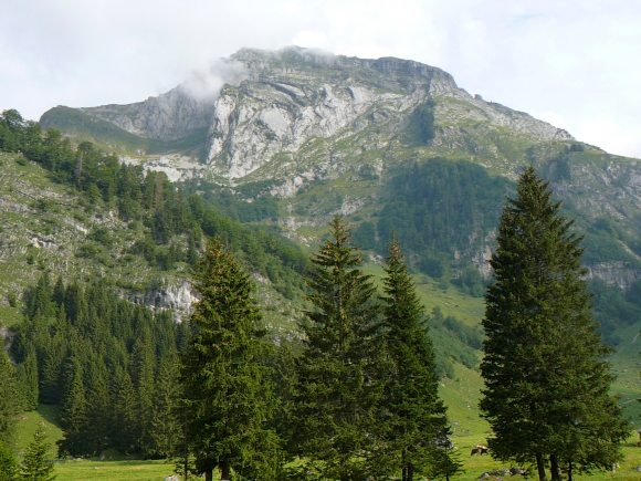 Blick von Laui Richtung Säntis