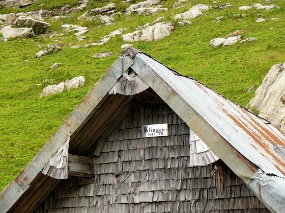 Wachhund bei der Alpe Klingen