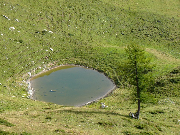 Tümpel