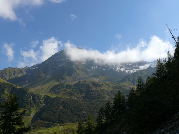 Weg zur Pfälzer Hütte.