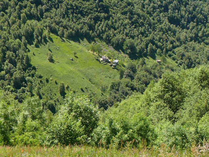Alm auf der Frasnedo gegenüber liegenden Talseite.