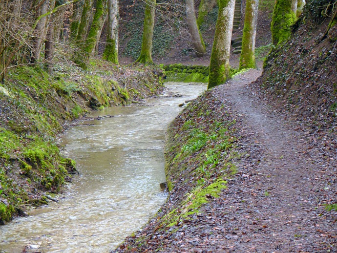 Wanderweg am Bach