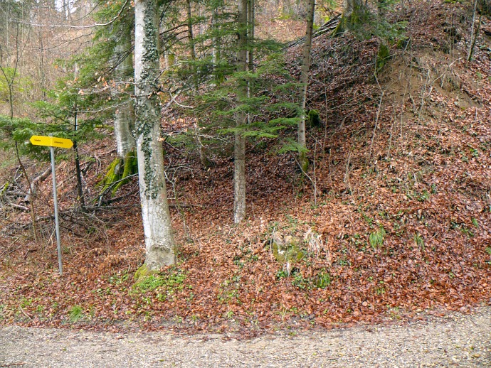 Abzweigung im Hutziker Tobel