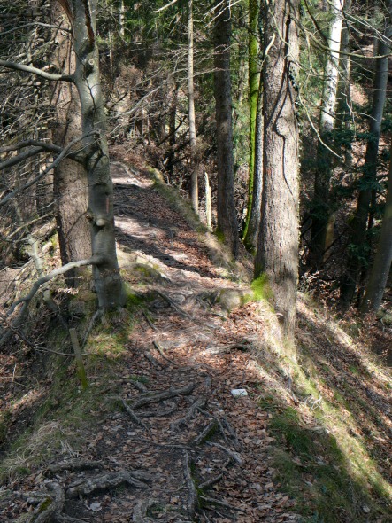 Wanderweg