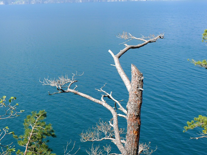 Urnersee