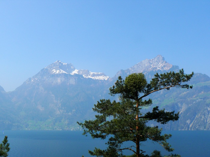 Ober- und Niderbauen