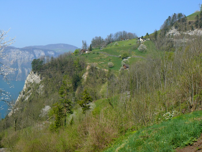 oberhalb von Sisikon