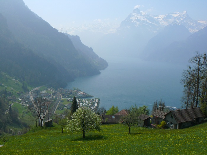 Urnersee mit Gitschen und Uri Rotstock