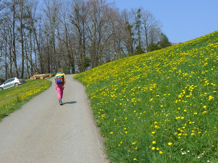 auf dem 'Weg der Schweiz' oberhalb von Sisikon