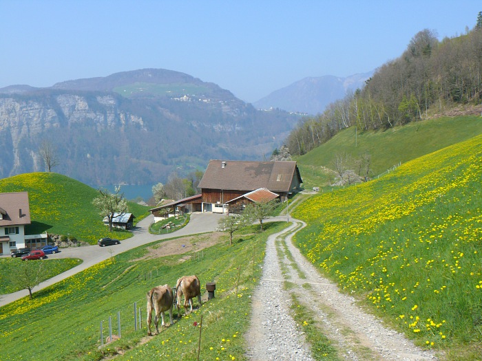 Bauernhof bei Morschach