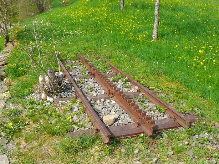 Reste einer alten Zahnradbahn am Wegesrand