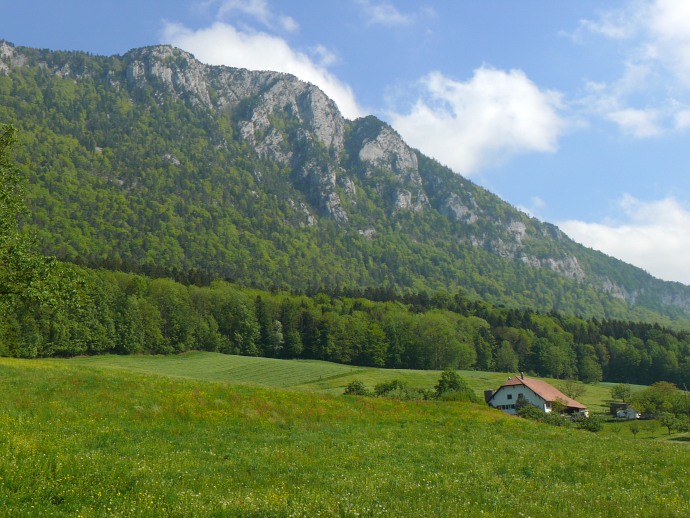 Ausläufer des Weißensteins