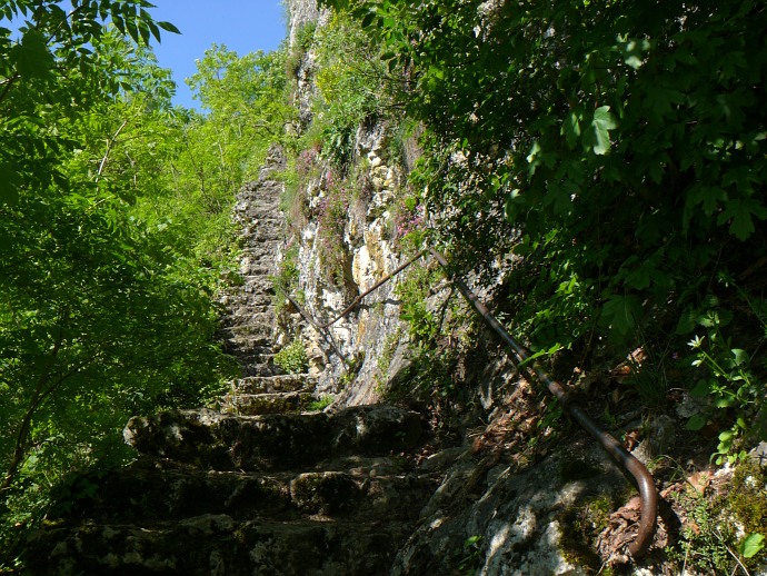 Auf dem Weg zur Ruine bei Balm