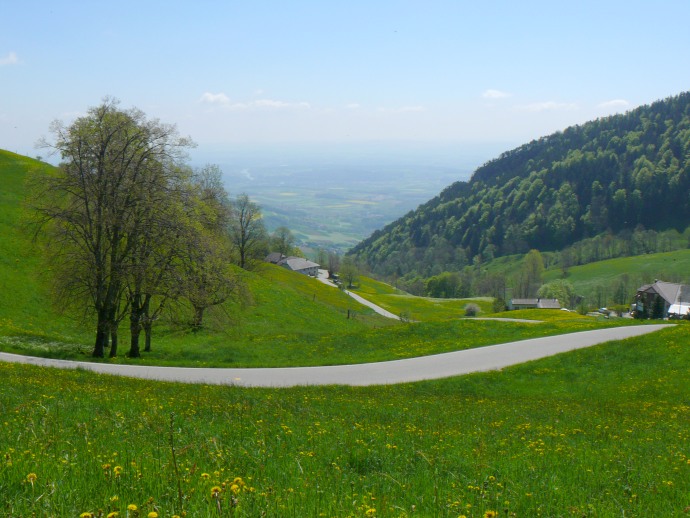 Straße nach Balmberg