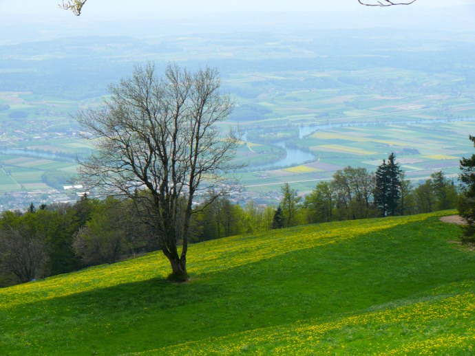 Blick vom Weissenstein auf die Aare