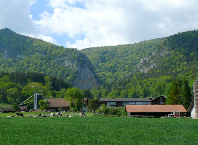 Rückblick auf den Abstiegsweg vom Weissenstein
