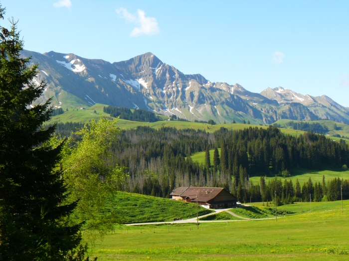 Blick Richtung Brienzergrat