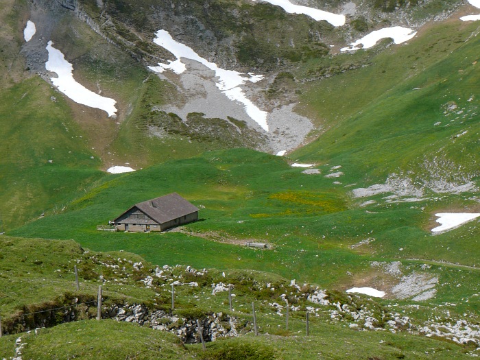 Chlushütte