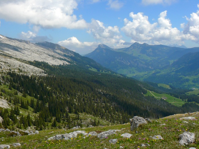 Fürstein und Schwendiliflue